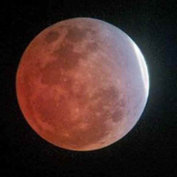 Meet your Posher, Joshua - Picture 1 of 1